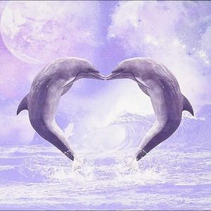 Meet your Posher, Esther